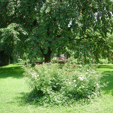 B&B D'hote Chez Lulu Saasenheim