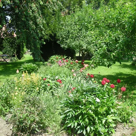 D'hote Chez Lulu B&B Saasenheim